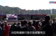 兔年賀歲賽馬日投注額錄20.6億元創回歸後新高 逾8.4萬馬迷入場