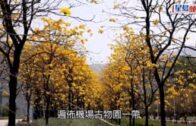 Charlie Kirk遭槍殺｜FBI發布槍手逃跑影片 屋頂行兇後跳下