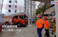 黃雨｜元朗天后古廟木棉飛絮現「漫天冰雹」奇景 檔販:風雨大到帳篷都爛咗3個