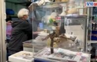 筲箕灣釣魚用品店鸚鵡走失　飼主擔心被盜報警
