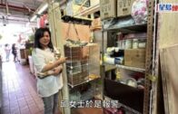 荃灣香車街街市店舖失竊 7貓被盜