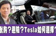 時事觀察 第2節—霍詠強：脫鈎？避險？Tesla如何選擇？