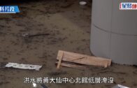 世紀暴雨︱黃大仙中心北館地下低層周二重開 牛奶冰室等店舖下月陸續「重見天日」