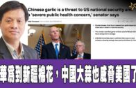 時事觀察 第2節–霍詠強： 從華為到新疆棉花，中國大蒜也威脅美國了！