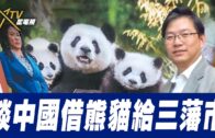 總編輯時間：談中國借熊貓給三藩市