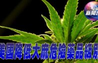 星電視新聞 | 緝毒局承認大麻醫療用途 降低其危險藥品級別 | 特朗普違禁言令屬藐視法庭被判罰款9千元 |