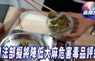 星電視新聞 | 司法部擬將大麻歸為危險較低毒品 | 普京訪華晤習近平 多度點名批評美國