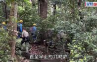 62歲失蹤男潘松龍行獅子山 倒臥麥理浩徑樹林 當場不治