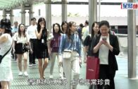 本港每日逾萬噸固體垃圾送堆填區 焚燒發電設施I·PARKs轉廢為能