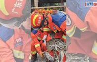蛇出沒季節｜3米巨蟒溜入廣東養殖場 被抓時吐出一隻肥鵝｜有片