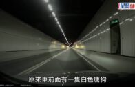 Charlie Kirk遭槍殺｜FBI發布槍手逃跑影片 屋頂行兇後跳下