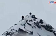 無人機直擊｜四川登雅姆雪山 男子海拔5000多米滑墮身亡｜有片