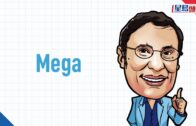 又中又英｜Mega