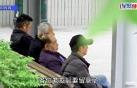 長者生活津貼2025｜長生津/生果金（高齡津貼）下月加1.3%! 最新金額/資產上限/年齡要求/離港限制/發放日期一文睇清