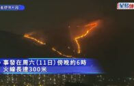 有片｜元朗八鄉雞公嶺山火 火線長達300米 兩行山人士被困不能落山