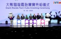 港產大熊貓｜探家姐細佬留意!毋須預先取籌 打卡約有5分鐘 貴賓團盛惠$1500