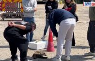 上水古洞花貓遭「行刑式」虐殺 網民怒斥: 點解可以咁殘忍?