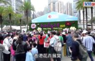 花展2025｜今起一連10日維園展出 羅淑佩: 主題花「秋英」象徵拼搏與全運會精神呼應
