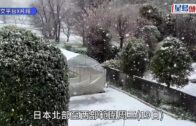 遊日注意｜東京都罕見3月雪 發「大雪警報」JR部分停駛