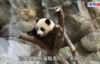 Charlie Kirk遭槍殺｜美政壇最具影響力保守派新星 推動年輕選民撐特朗普
