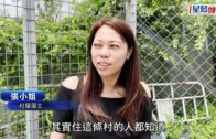 粉嶺丹竹坑村私家車撞塌圍板 險衝入村屋 84歲女司機一度被困救出送院