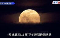 補充勞工優化計劃招聘會今起一連3天舉行  求職者願跨區工作:最緊要搵到工