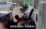 單車節2025｜11.30舉行 明早10點開始報名 共開放6000名額 首設「世界大學盃」