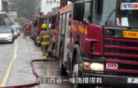 西貢唐樓單位冒煙 消防疏散10人救出5狗 其中1狗當場死亡