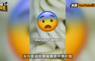 星島申訴王｜平價杯麵真的有蟲? 網購杯麵化驗揭開蟲卵真相