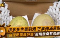星島申訴王｜拼多多買生果爛到出汁惹烏蠅 自提點職員: 好大條蟲爬出來!