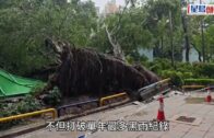 黑雨︱8日4發黑雨破紀錄 11小時歷來第二長 僅次前年「世紀黑雨」