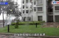 星島申訴王｜油價創新高帶挈「鬼油站」翻生 放蛇直擊走私油平一半 明目張膽網上賣廣告吸客