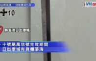 時事觀察—霍詠強:為何中國稀土管制掀翻美國？