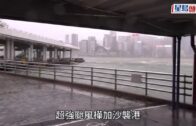 諷刺拜登無能 白宮肖像被換成自動簽字筆
