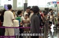 颱風樺加沙︱多地沿岸活海鮮鋪滿一地 生蠔扇貝隨手撿 專家特別提醒