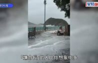 颱風樺加沙︱多地沿岸活海鮮鋪滿一地 生蠔扇貝隨手撿 專家特別提醒