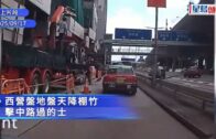 長者業主樓換樓計劃｜年滿60歲、擁資助單位十年或以上業主 可毋須補價買較小或偏遠單位 消息指不設限額
