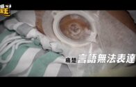 打風︱預報有更新!料風暴《施政報告》翌日靠近 天文台調高風力預測 下周或再有?