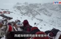 九龍灣啟業邨塌樹 印傭公園乘涼被擊中一度昏迷
