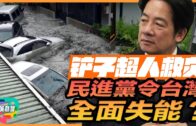 九龍灣啟業邨塌樹 印傭公園乘涼被擊中一度昏迷