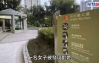 星島申訴王｜呎價兩萬火炭豪宅 水喉濾芯滿黑點 住戶揭真相:黑色雜質多到滿瀉