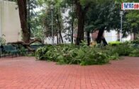 星島申訴王｜呎價兩萬火炭豪宅 水喉濾芯滿黑點 住戶揭真相:黑色雜質多到滿瀉