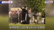 莊思敏無預警再婚嫁高級督察黃耀彬後首發文 夢幻童話式婚禮曝光 場面奢華入夜享煙花盛宴