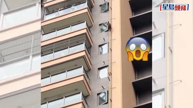 齊天大聖闖南寧高層住宅 外牆「飛簷走壁」｜有片