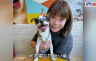 緬甸詐騙園｜26歲女模因「業績差」慘被活摘器官亡 連骨灰亦勒索50萬美元