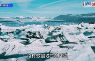 沙田碩門邨Tesla撞跌警員逃走 33歲販毒男涉4罪落網｜有片