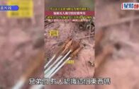 立法會選舉2025|新民黨派8人出選 5人為新丁 葉劉正式下台 立法會選舉2025|新民黨派8人出選 5人為新丁 葉劉正式下台
