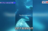 星島申訴王｜呎價兩萬火炭豪宅 水喉濾芯滿黑點 住戶揭真相:黑色雜質多到滿瀉