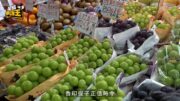 星島申訴王｜$50買日本香印晴王中伏! 果商揭內地貨扮日本香印味道包裝仿真極高