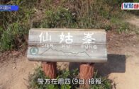 八仙嶺山火虛報 8歲男童自首 獲警發口頭警告